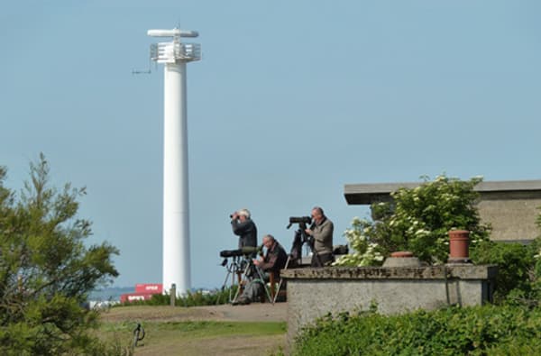Landguard Bird Observatory