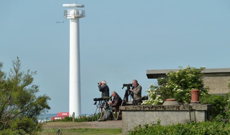 Landguard Bird Observatory