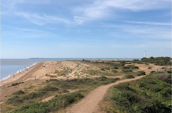 Landguard nature reserve landguard peninsula