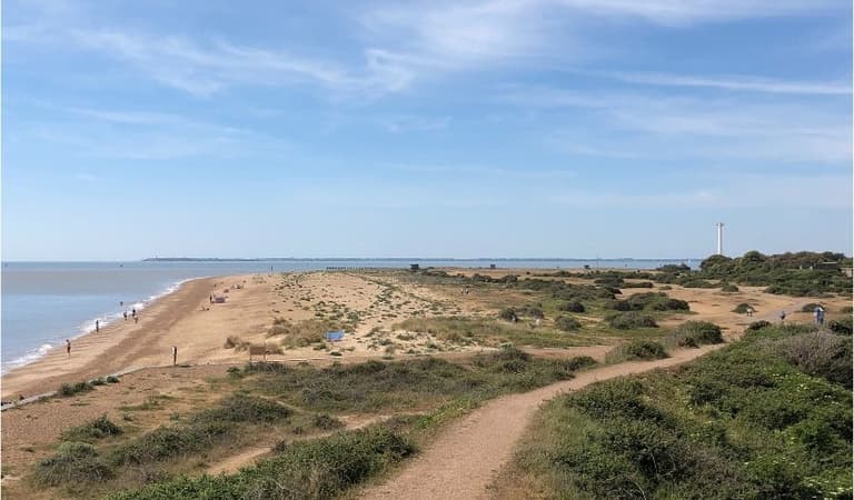 Landguard nature reserve landguard peninsula
